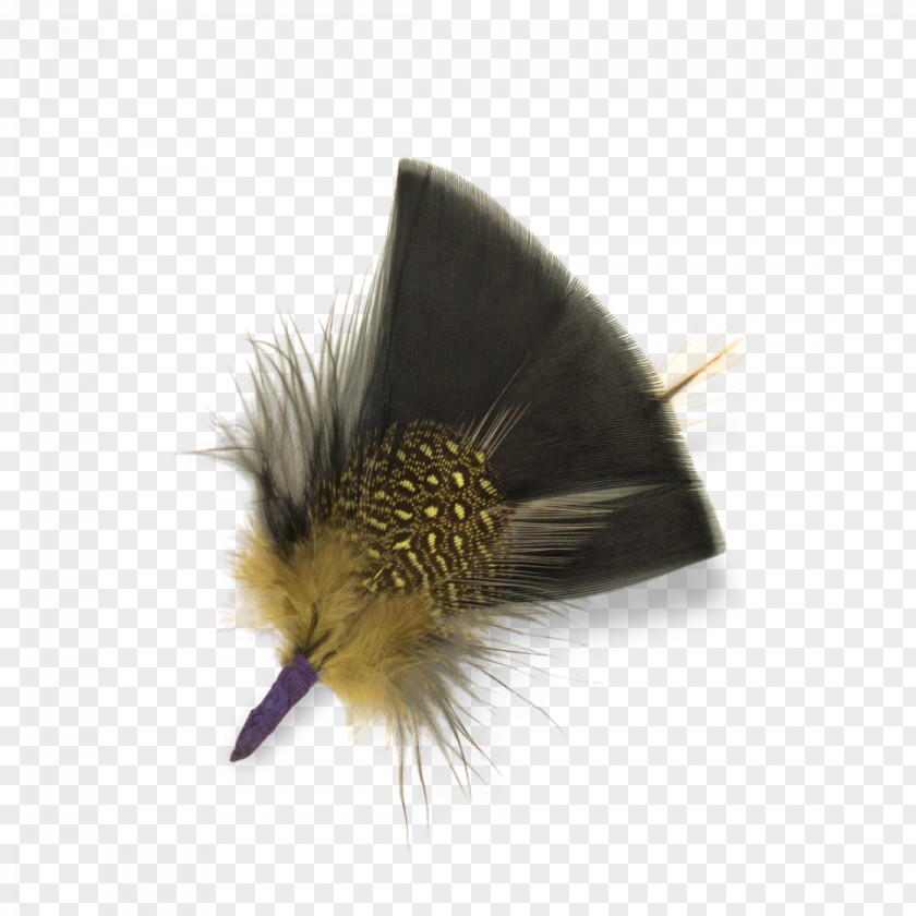 Black Feathers Feather Bird Hat Goorin Bros. Hackle PNG