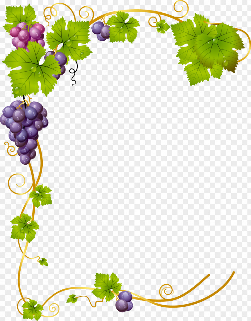 Brown Frame Common Grape Vine Wine PNG