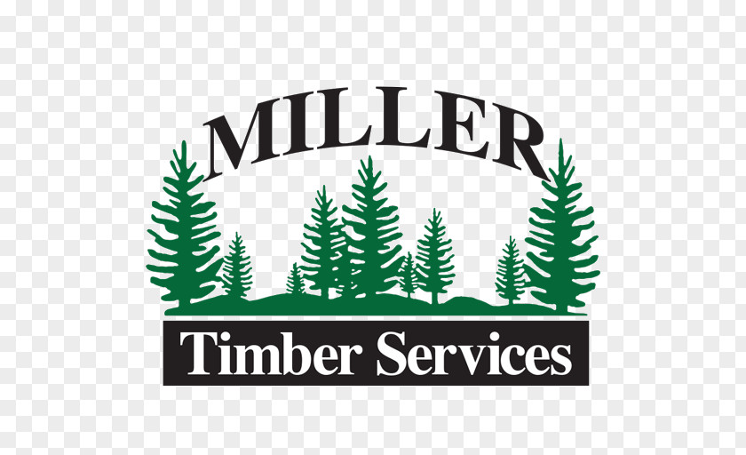 Business Logo Miller Timber Services Inc Lumberjack PNG