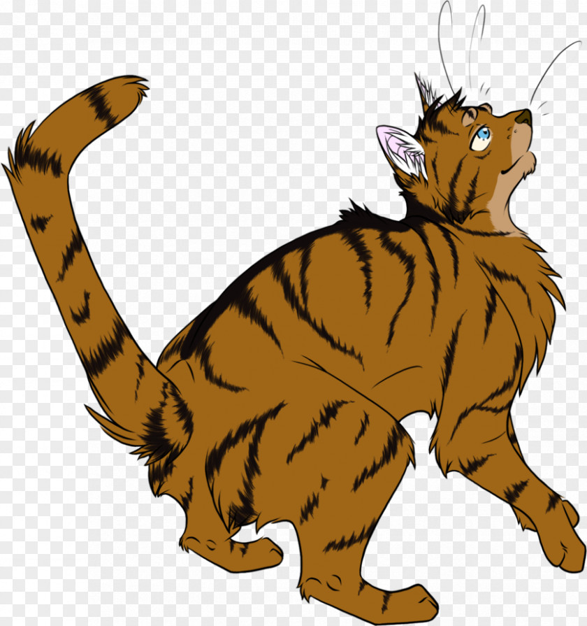 Cat Wildcat Whiskers Littlecloud Into The Wild PNG