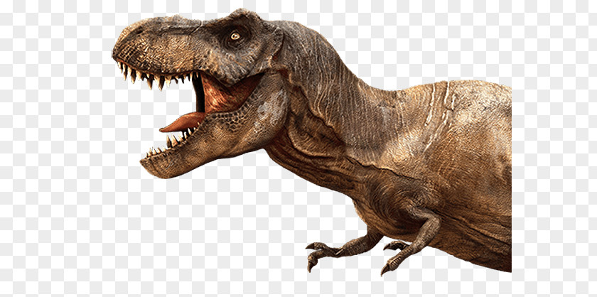 Dinosaur Tyrannosaurus Zoo Tycoon: Digs Velociraptor Allosaurus Spinosaurus PNG