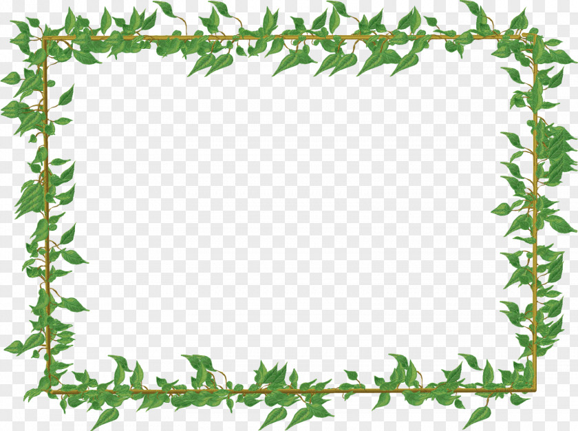 Flower Borders And Frames Floral Design Clip Art PNG