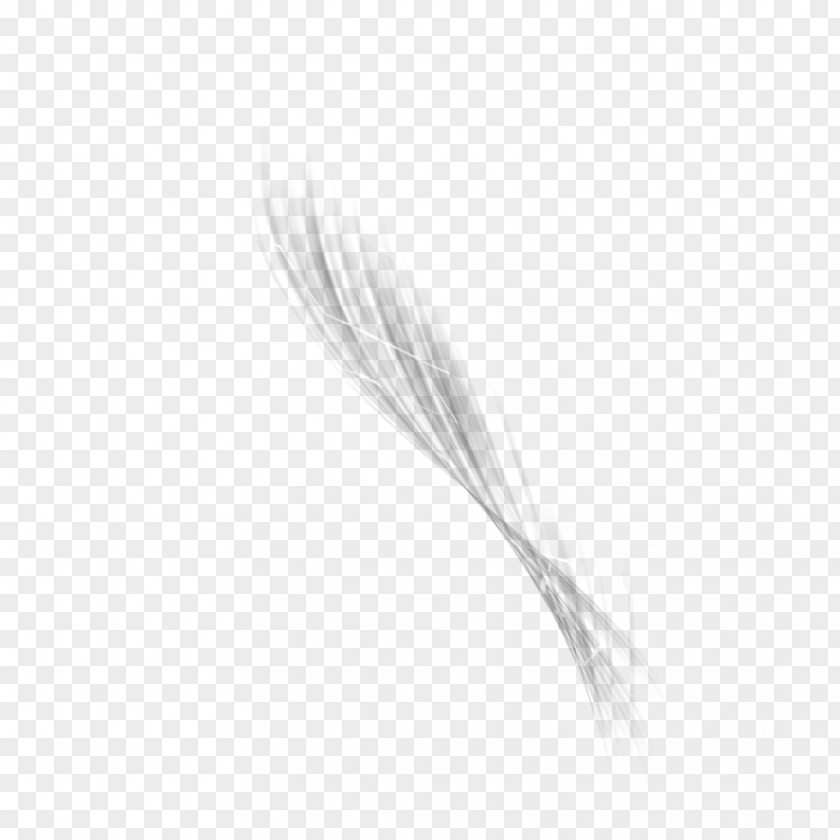 Image Abstract Transparent White Feather Black PNG