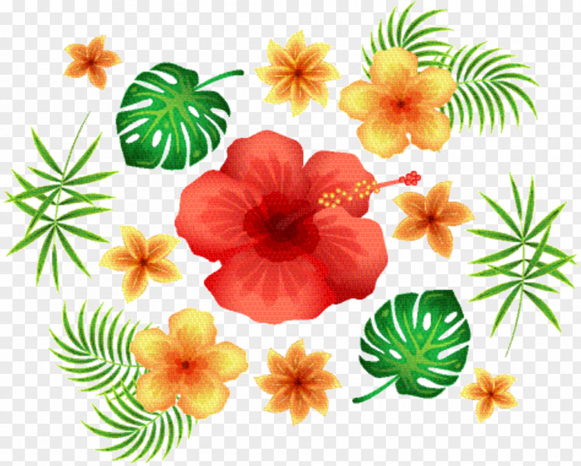 Mallow Family Wildflower Hawaiian Flower PNG