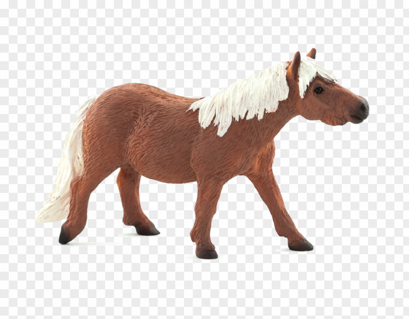 Mustang Shetland Pony Appaloosa American Miniature Horse Model PNG