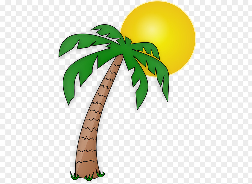 Summer Holidays Palm Tree Clip Art Transparency Trees Openclipart PNG