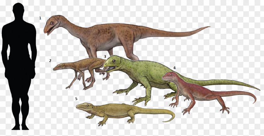 Argentavis Magnificens Reptile Velociraptor Silesaurus Omeisaurus Scutellosaurus PNG