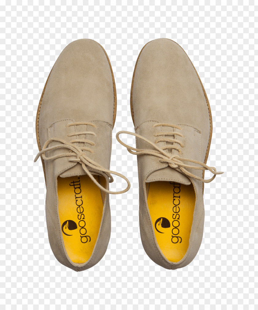 Design Shoe PNG