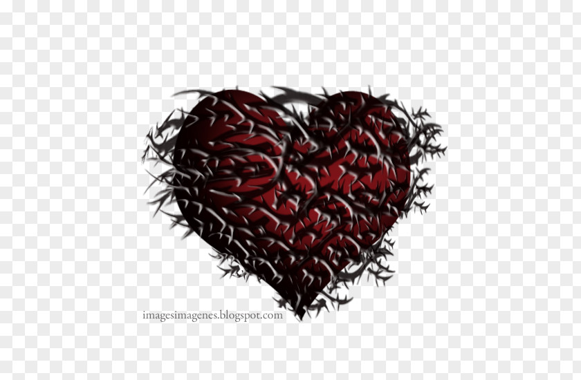 Prohibido Tiene Espinas El Rosal Jenny And The Mexicats Heart Image Thorns, Spines, Prickles PNG