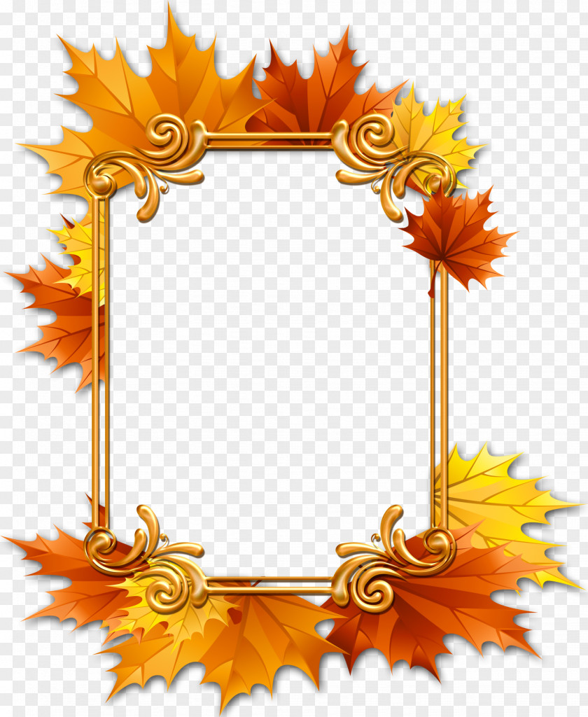 Thanksgiving Picture Frames Maple Leaf Window PNG