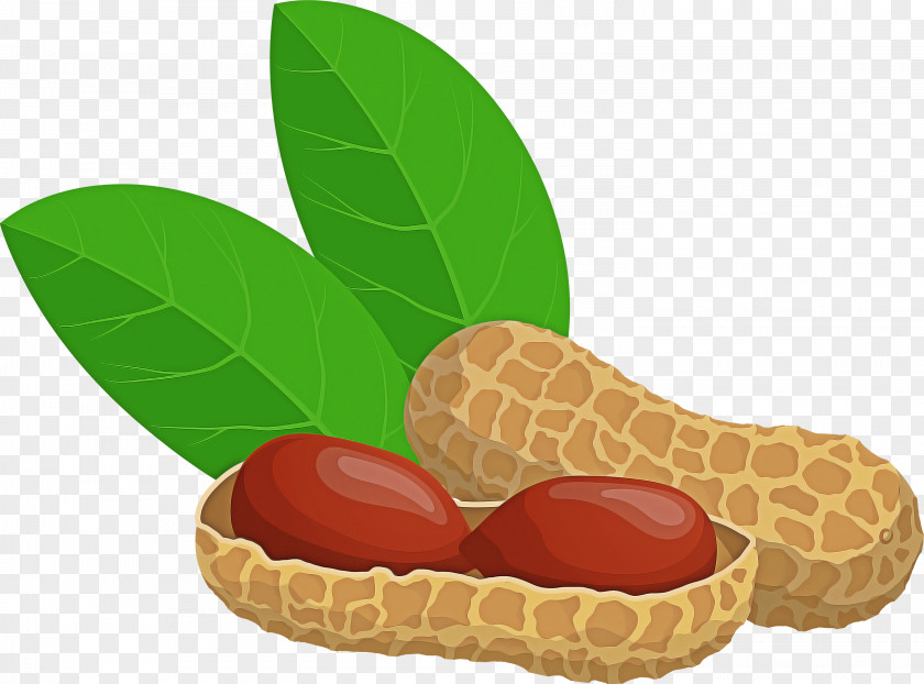 Peanut Legume Fruit Food Leaf PNG