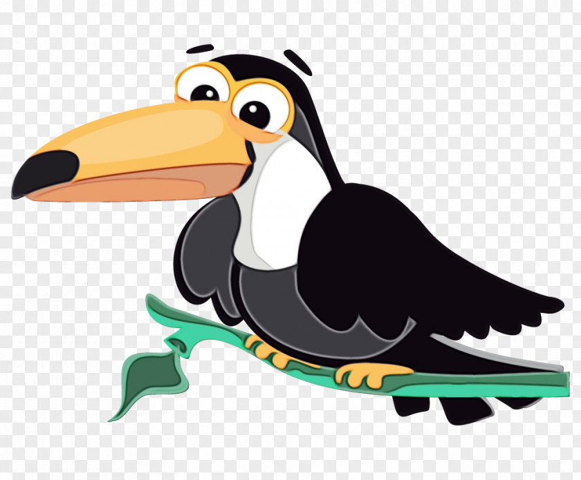 Puffin Hornbill Bird Toucan Cartoon Beak Piciformes PNG