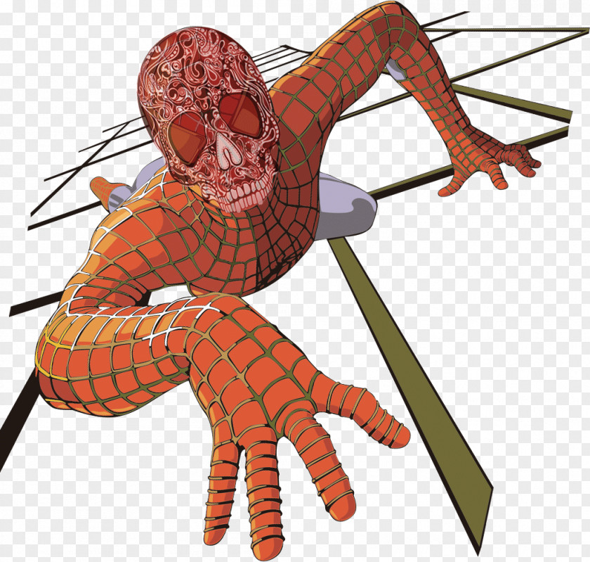 Spider-Man Cartoon PNG