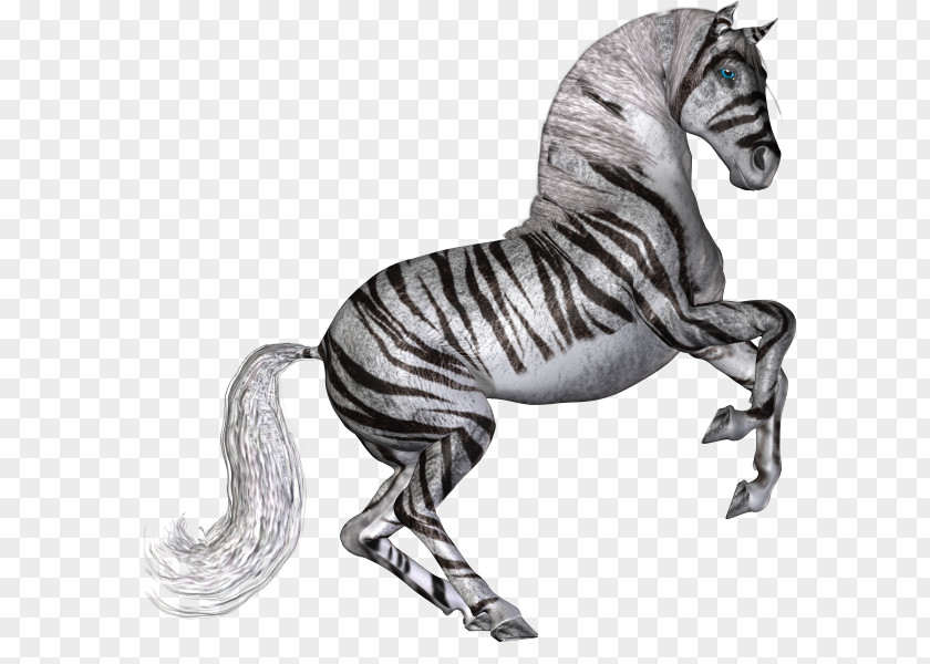 Tiger Horse Mustang Panther White PNG
