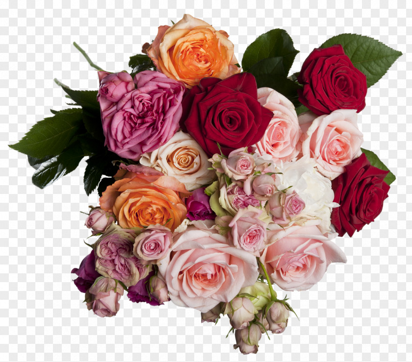 Bouquet Centifolia Roses Flower Garden Floristry PNG