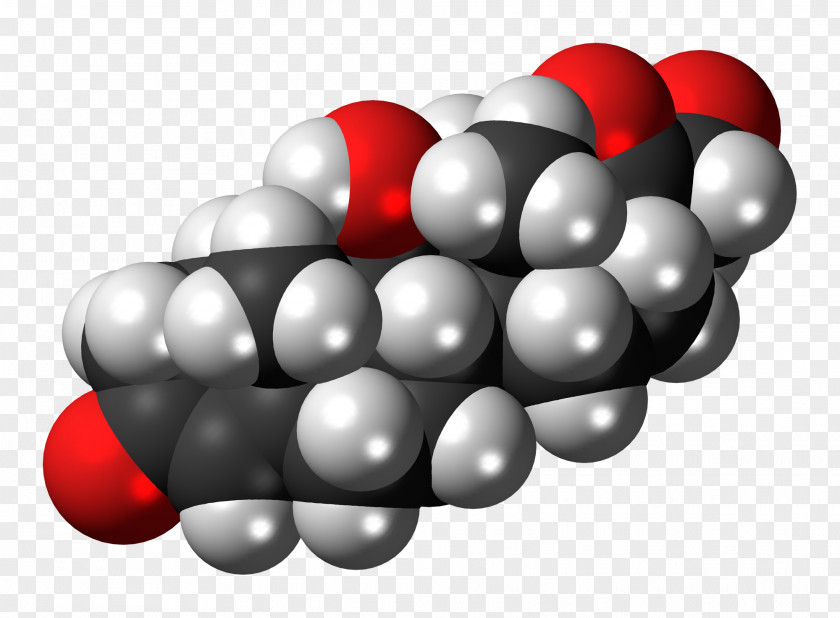 Cortisol Hormone Space-filling Model Stress Progesterone PNG