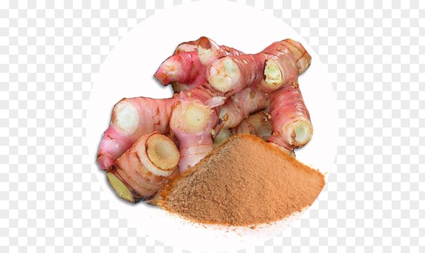 Health Alpinia Galanga Galangal Herb Turmeric PNG