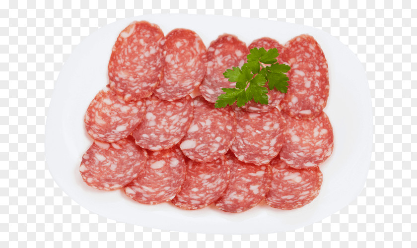 Sausage Salami Mettwurst Soppressata Capocollo Bresaola PNG
