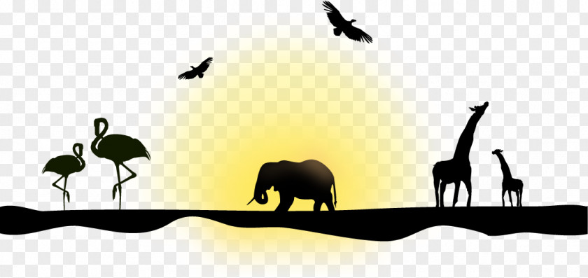 Vector Animal Silhouettes Northern Giraffe Silhouette Euclidean Elephant PNG