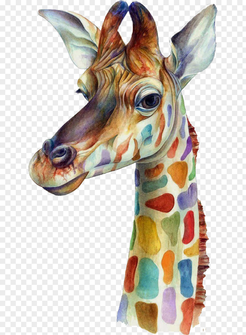 Watercolor Giraffe IPhone 6 Plus 5 4S 7 PNG
