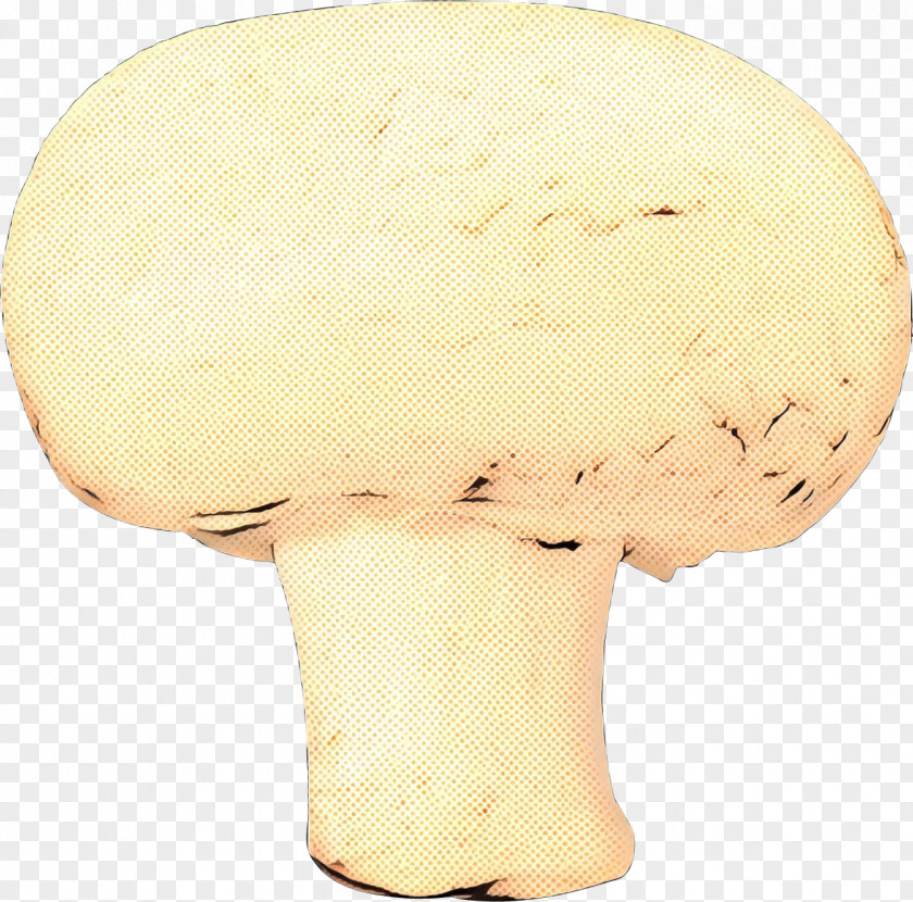 Agaricaceae PNG