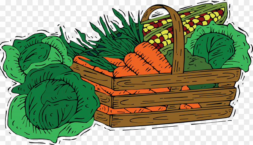 Cartoon Vegetable Material Carrot Cabbage Drawing PNG
