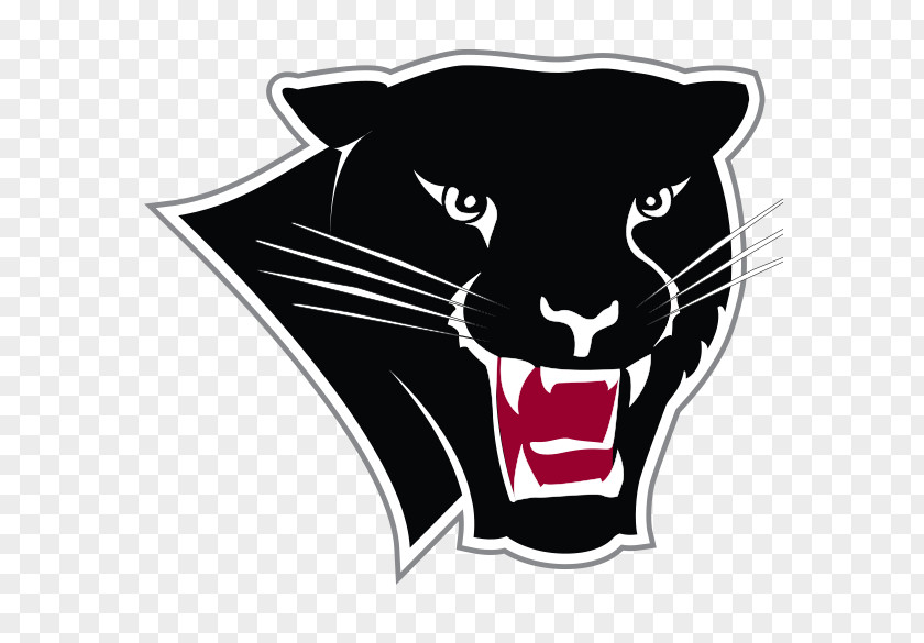 Florida Institute Of Technology Tech Panthers Football Women's Basketball Southern College Men's PNG