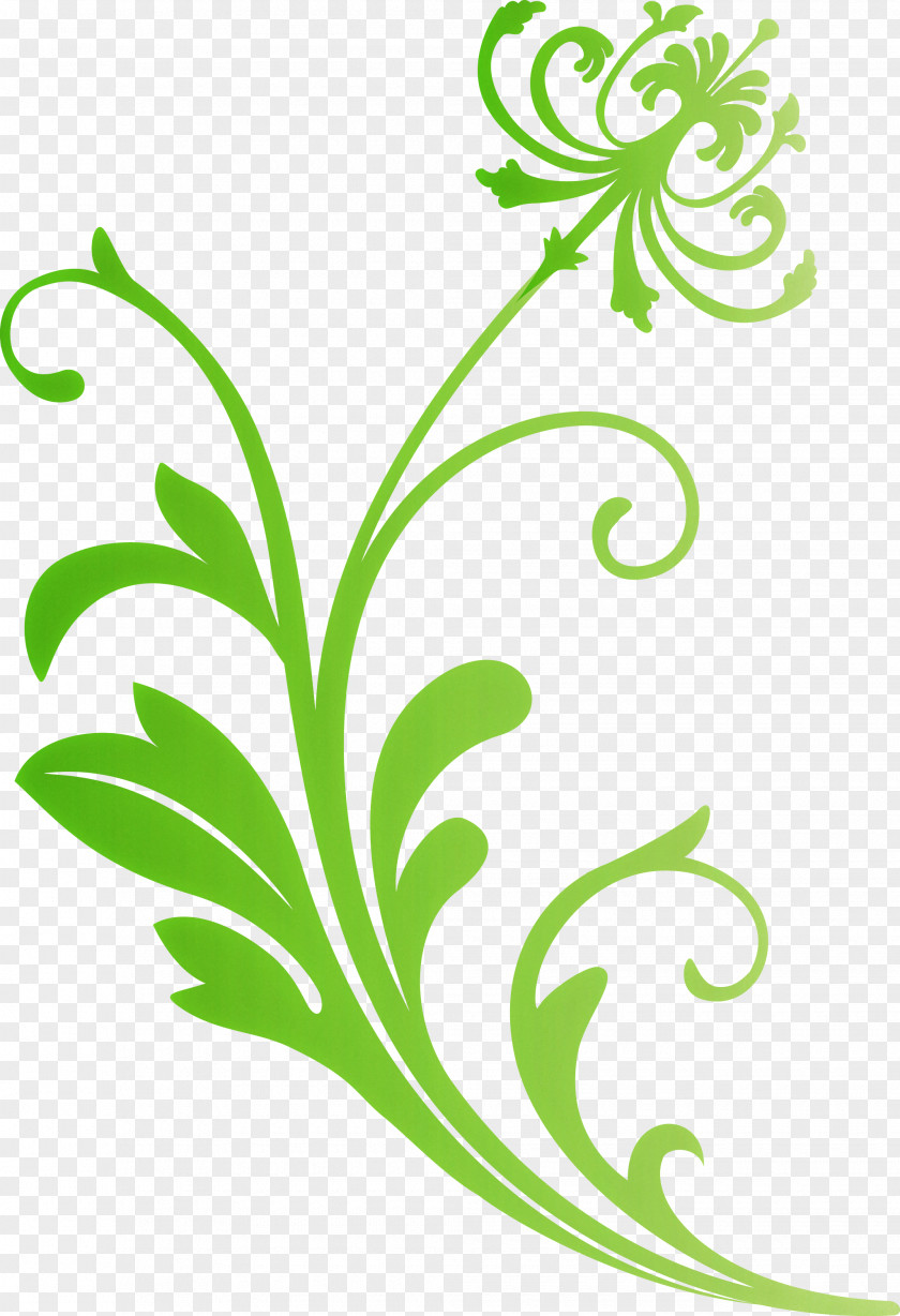 Flower Frame Decoration PNG