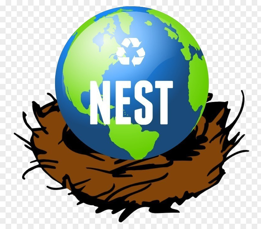 Nest Bird Clip Art PNG