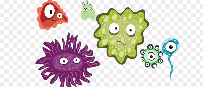 Virus PNG clipart PNG
