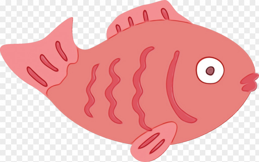 Fish Products Seafood Pink Cartoon Sole PNG