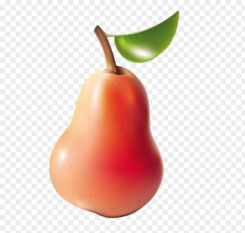 Pear Clip Art Fruit Photography Food PNG