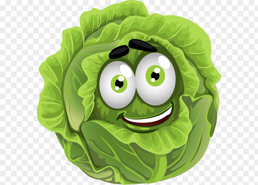 Cabbage Spring Greens Vegetable Clip Art PNG