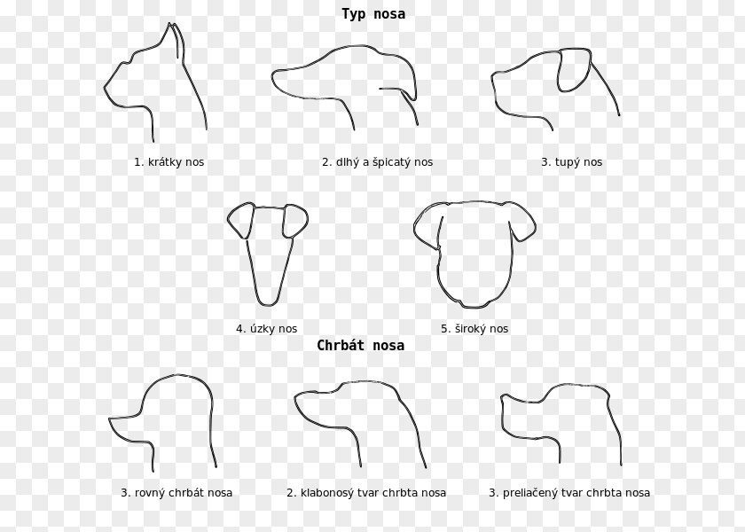 Ear Document Mammal Drawing White PNG