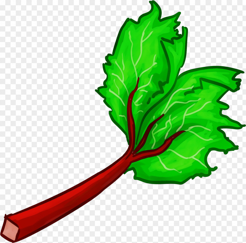 Herb Plant Leaf Green Vegetable Chard PNG
