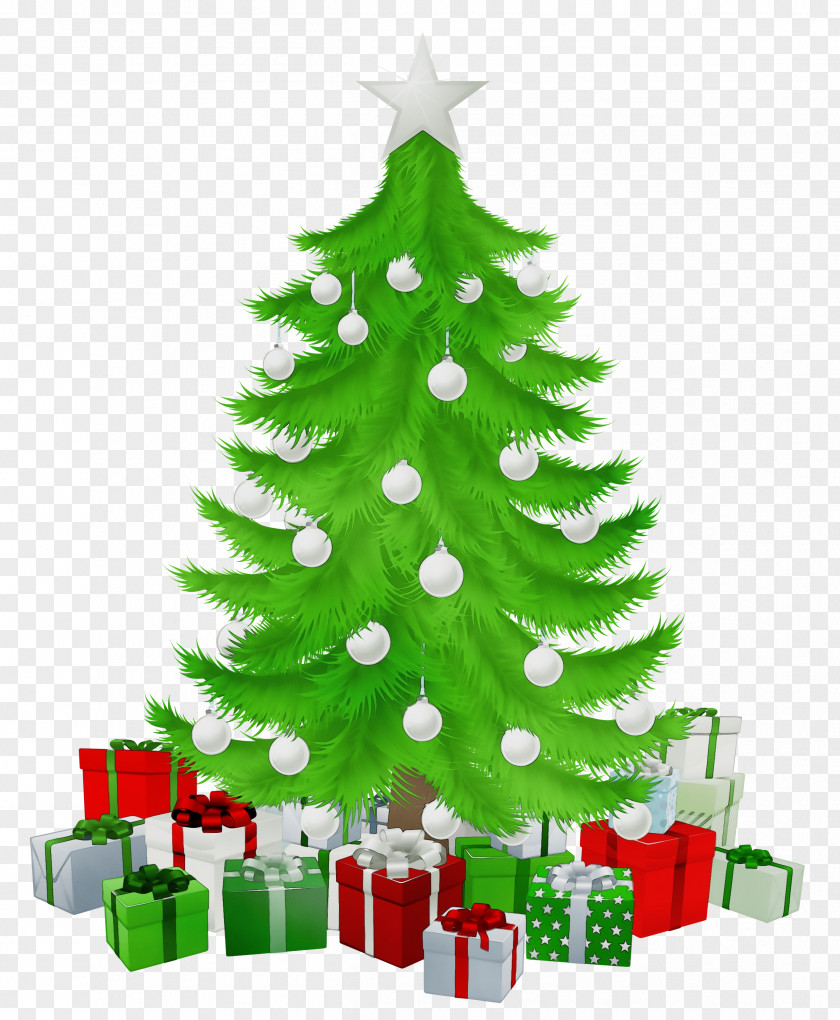Pine Spruce Christmas Tree PNG