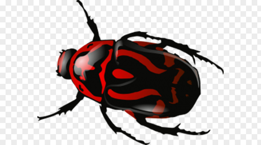 Red Markings Beetle Volkswagen Clip Art PNG