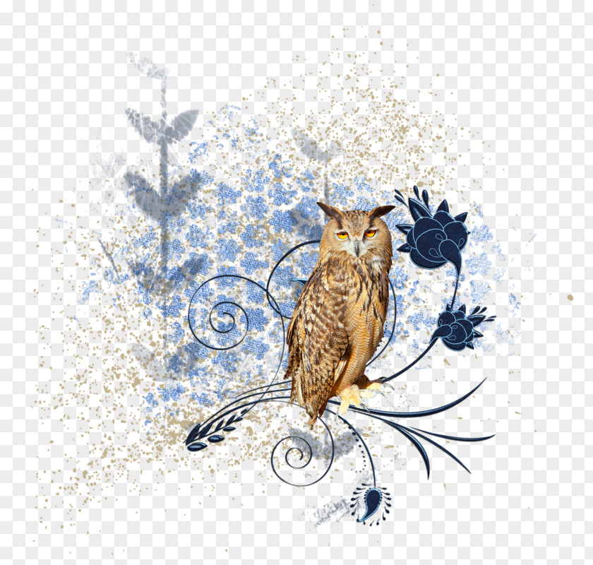 Avenue Colombe Bird PNG