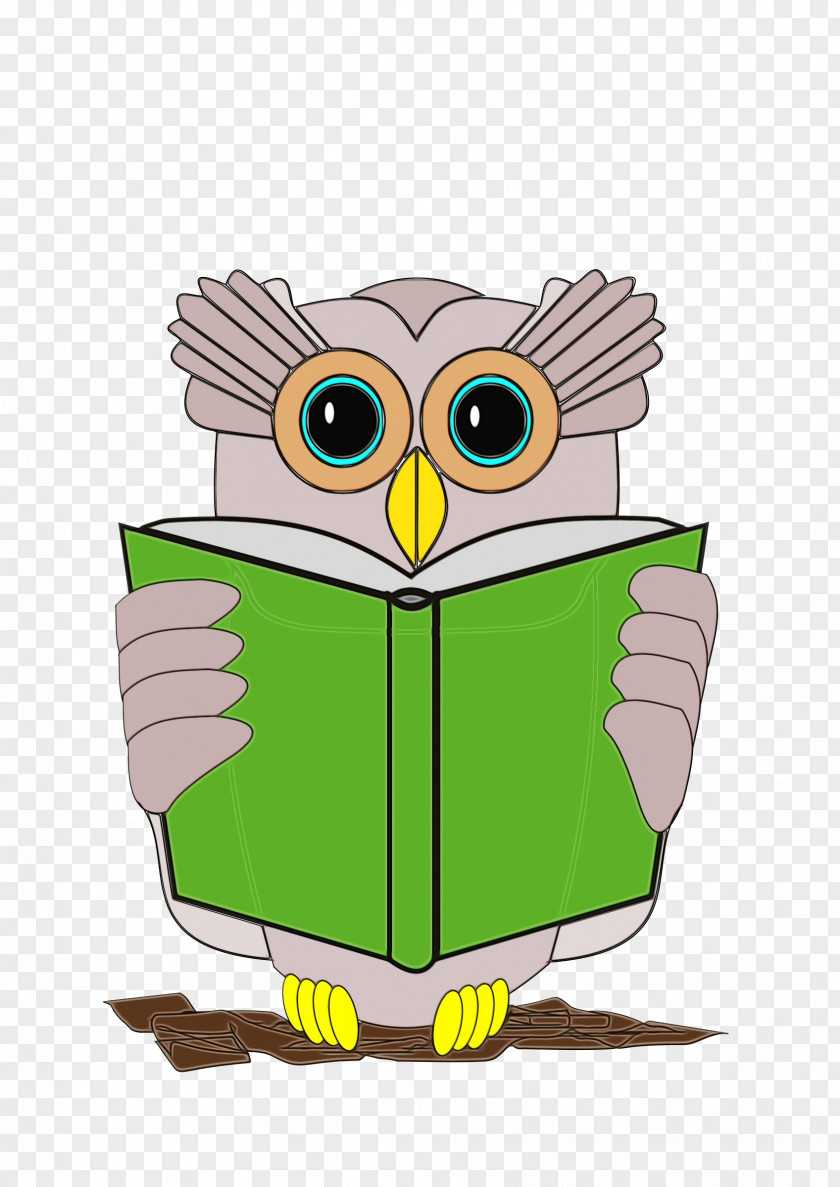 Bird Green Owl Book Transparency Review Reading PNG