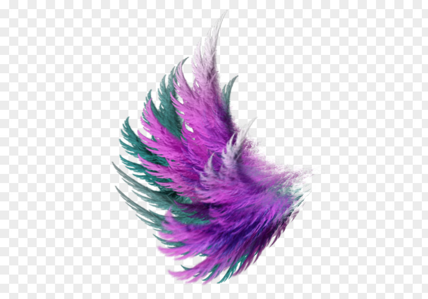 Color Fairy PNG