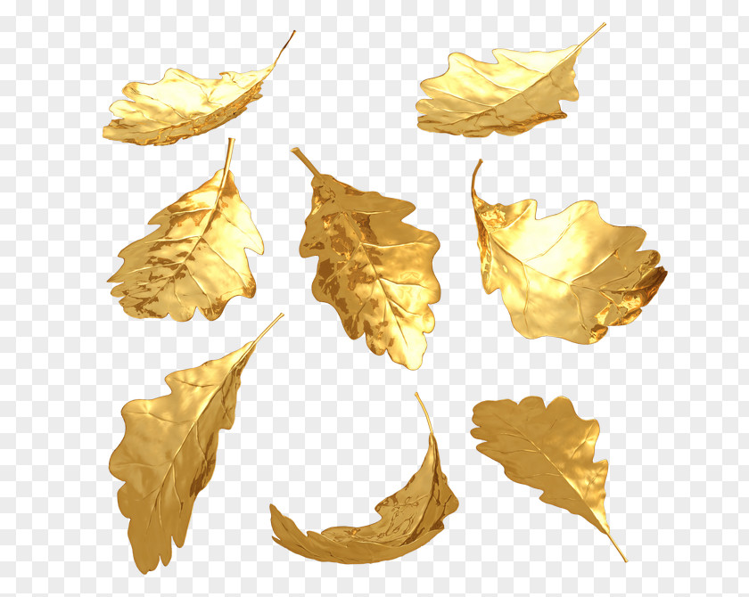 Gold Leaf 3D Computer Graphics PNG
