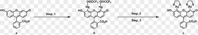 Research Fluorescence Thailand Science PNG