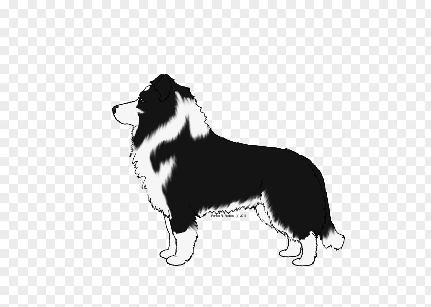 Rng Frame Border Collie Dog Breed Rough Herding /m/02csf PNG