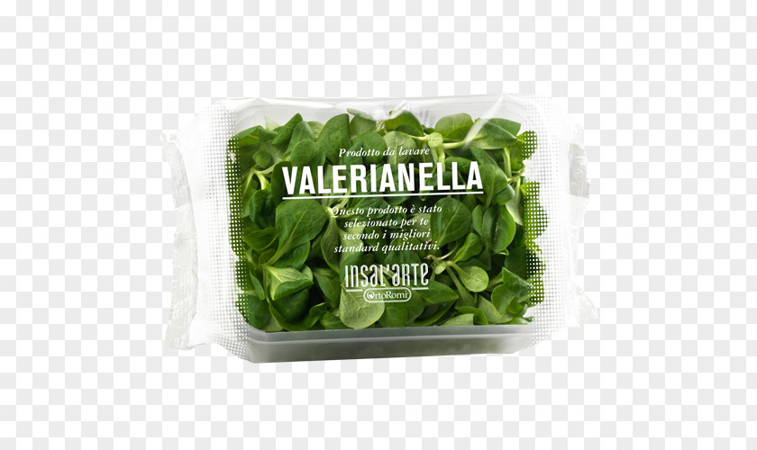 Valerian Romaine Lettuce Spring Greens Spinach Basil Leaf Vegetable PNG
