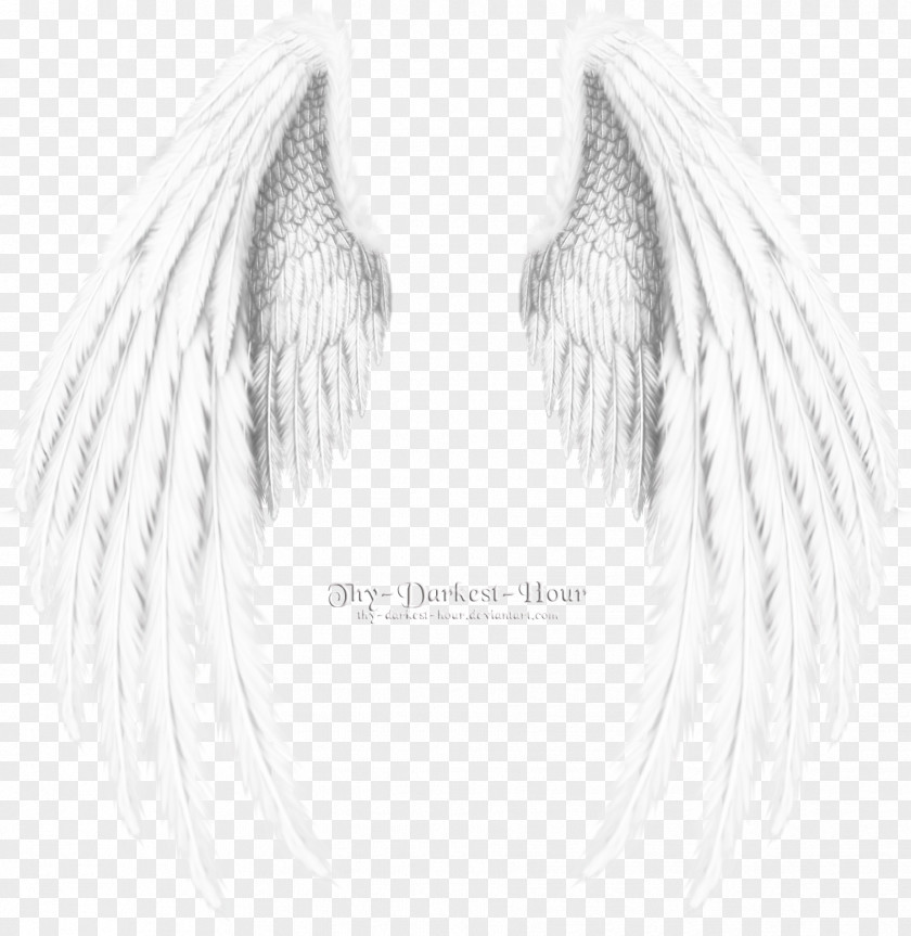 Wings Angel Wing Black And White Monochrome PNG