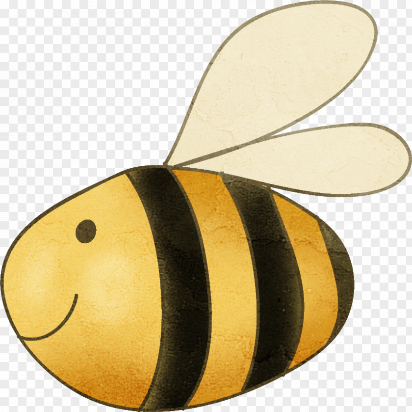 Cartoon Bee Wings Honey Download Google Images PNG