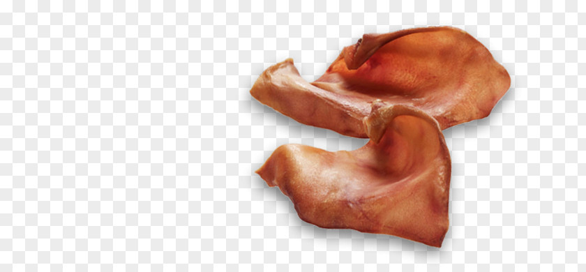 Dog Stick Pig's Ear Cat Raw Feeding Puppy PNG