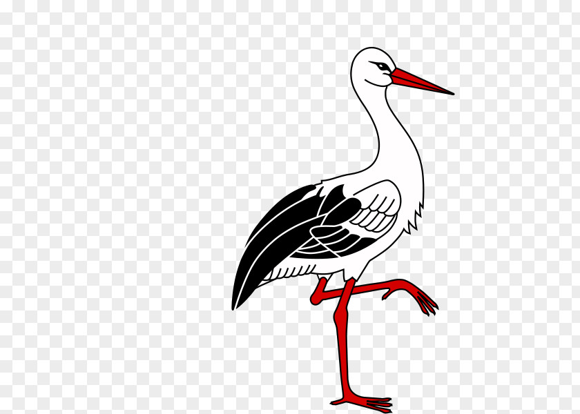 Download Storch Vector Free Colmar White Stork Bergenhusen Alsace Bird PNG