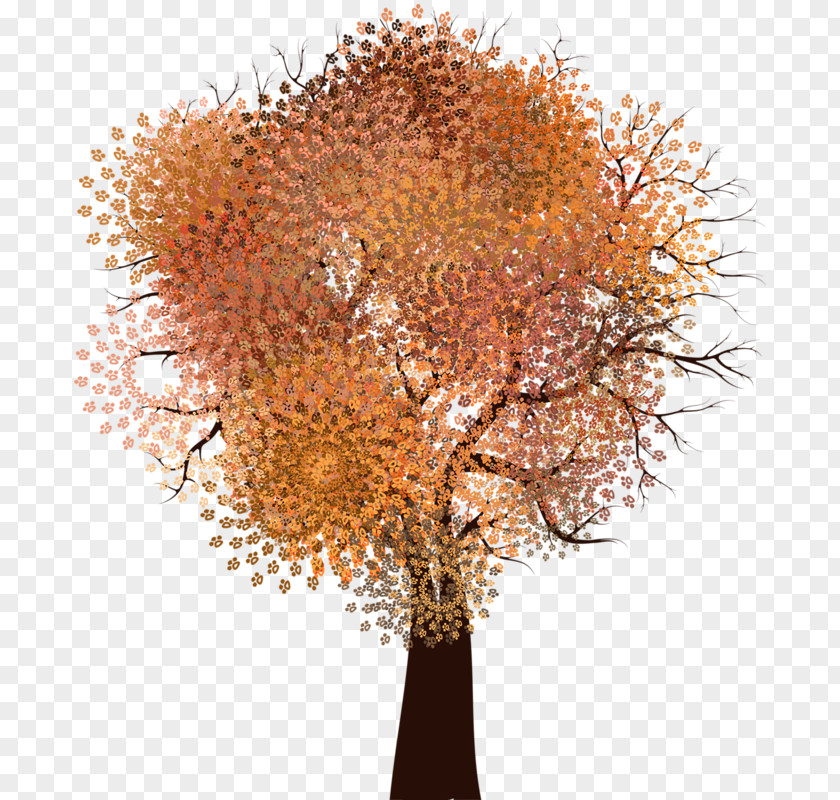 Tree Christmas Forest Twig PNG