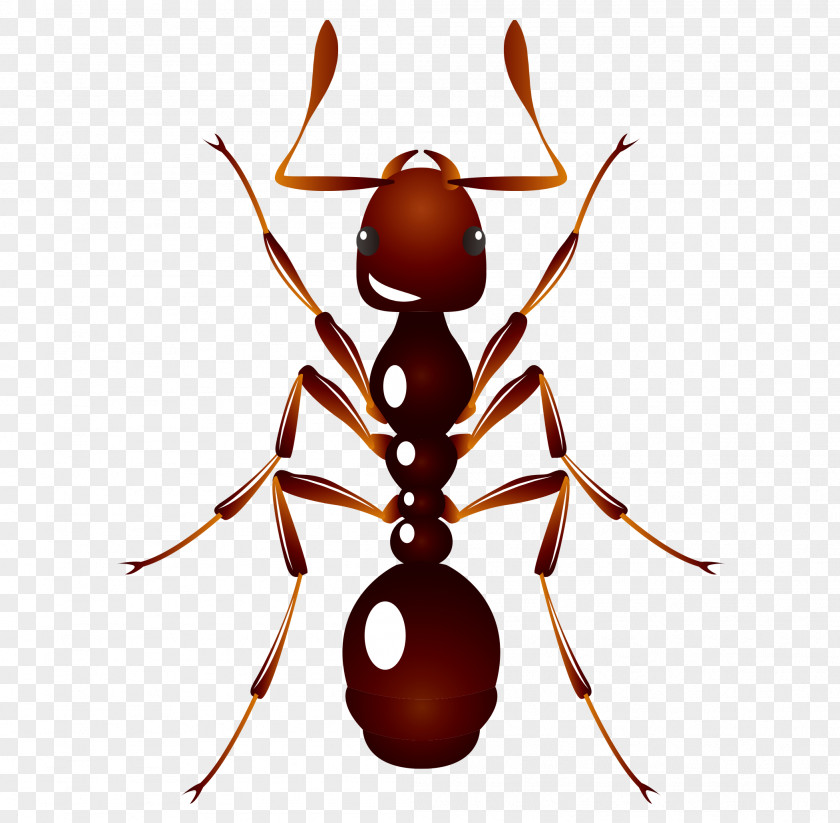 Vector Cartoon Hand Painted Fine Red Ants Ant U6606u866b: U8682u8681 Insect PNG